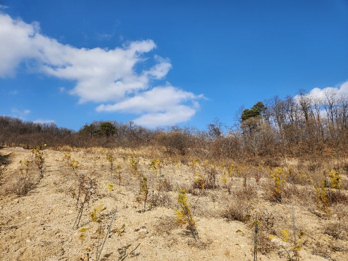 본건 및 본건 주위환경(남측 근거리 촬영)