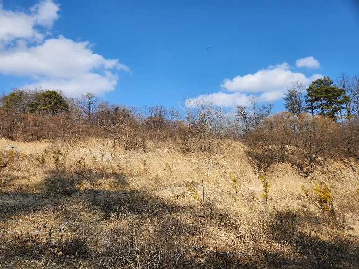 본건 전경(남측에서 촬영)