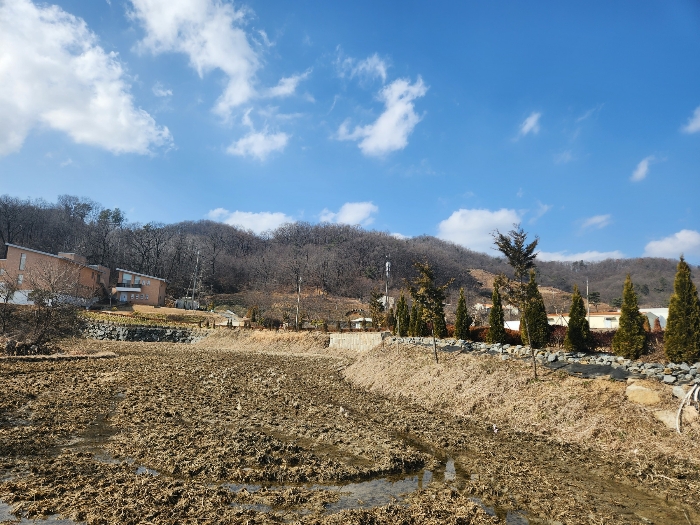 본건 및 본건 주위환경(동측 근거리 촬영)