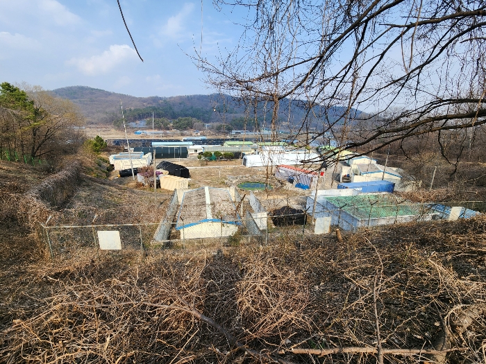 토지 기호(3) 서측 전경(일부 법면)