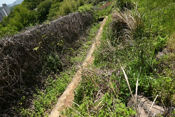 일련번호 31)
