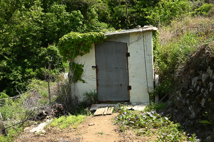 일련번호 22)