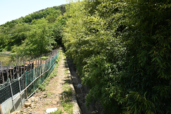 일련번호 30)
