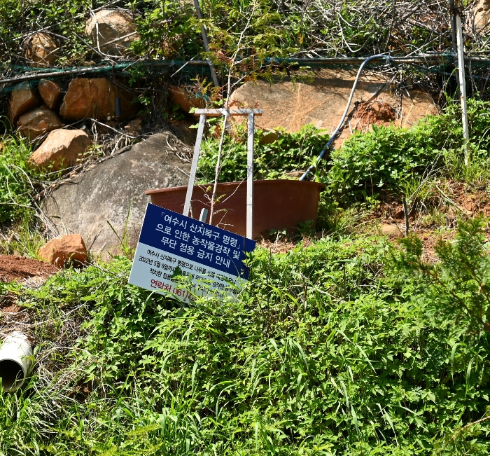 일련번호 15)