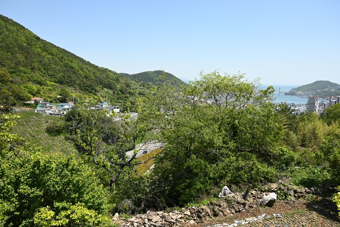 일련번호 4)