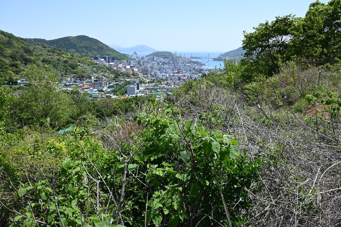 일련번호 14)