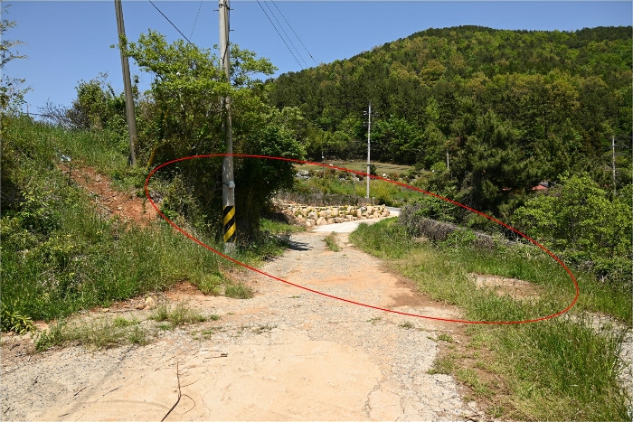 일련번호 31)