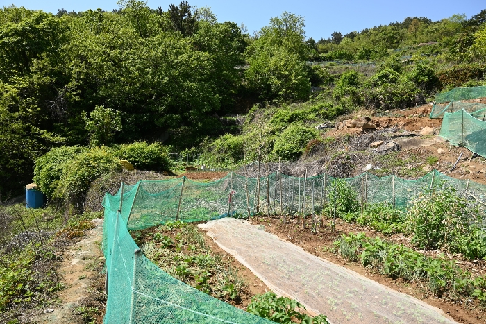 일련번호 6)토