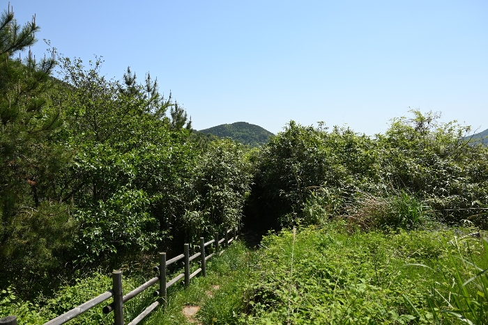일련번호 10)
