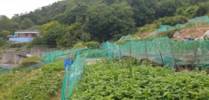 물건번호28번
