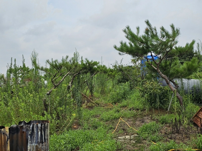 본건 기호 2) 일부 근경