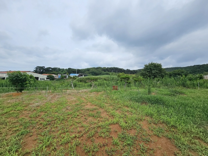 본건 기호 1), 2) 일부 근경