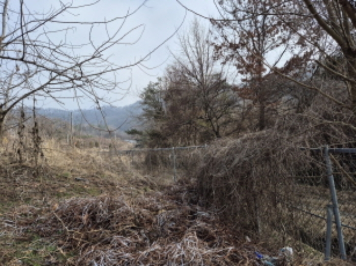 목록3,16,20,21 전경 (6)