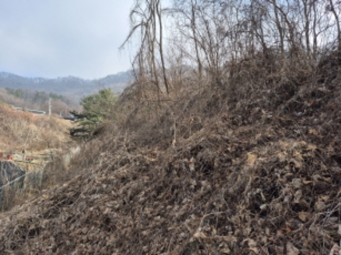 목록9, 13 전경 (1)