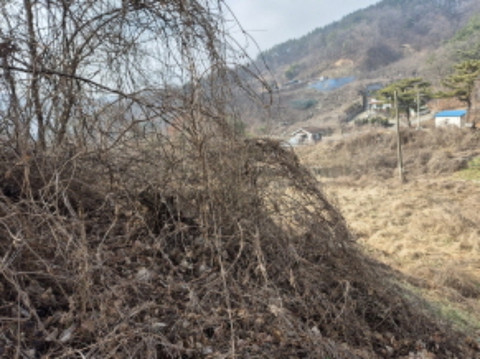 목록9, 13 전경 (2)