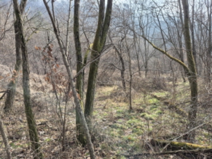 목록9, 13 전경 (3)