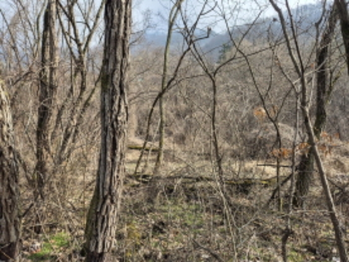 목록9, 13 전경 (4)