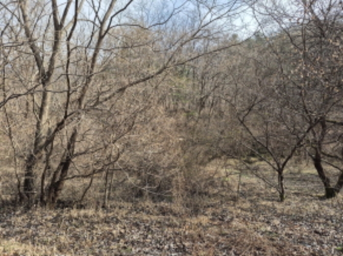 목록9, 13 전경 (5)