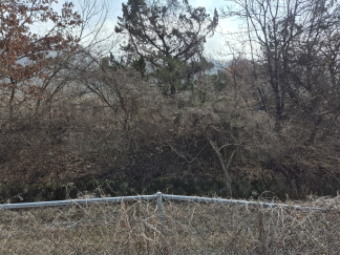 목록3,16,20,21 전경 (7)