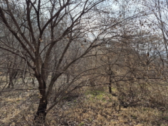 목록9, 13 전경 (6)