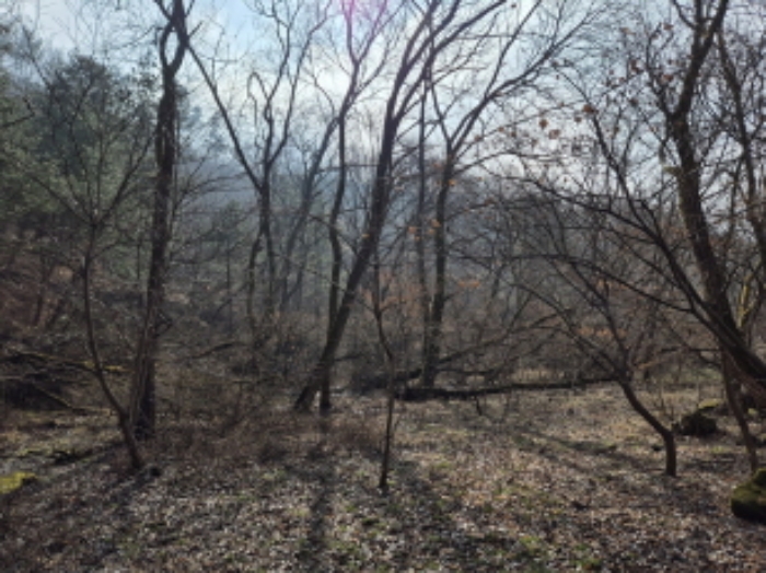 목록10,11,12,14 전경 (1)