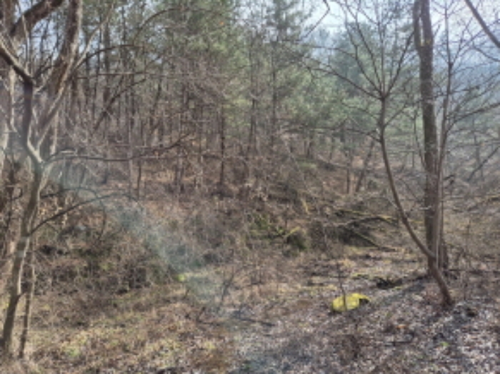 목록10,11,12,14 전경 (2)