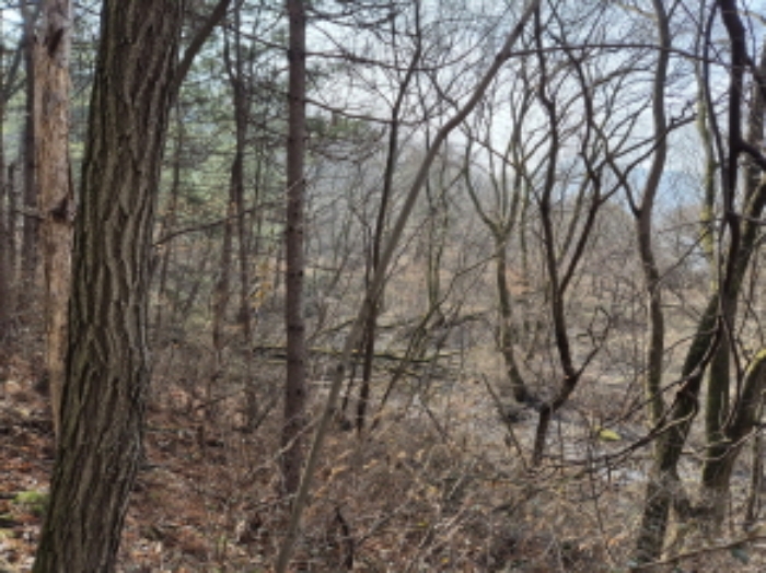 목록10,11,12,14 전경 (3)