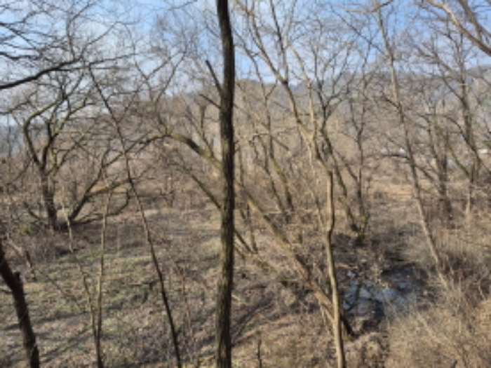 목록10,11,12,14 전경 (4)