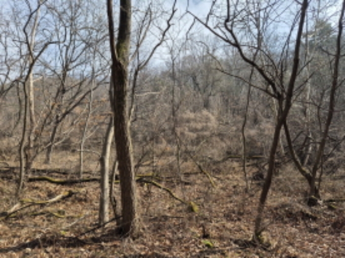 목록3,4,5,6,17,18,19 전경 (2)