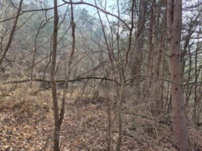 목록3,4,5,6,17,18,19 전경 (3)