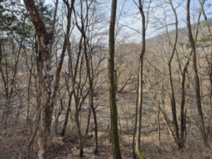 목록3,4,5,6,17,18,19 전경 (4)