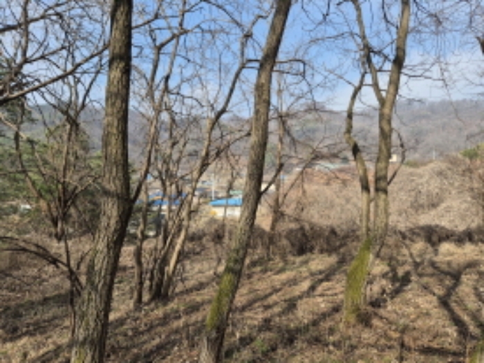 목록15,16 전경 (1)