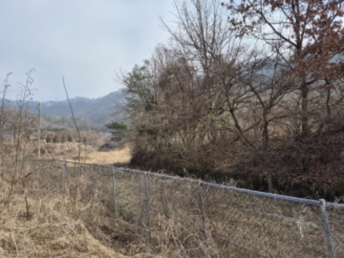 목록3,16,20,21 전경 (8)