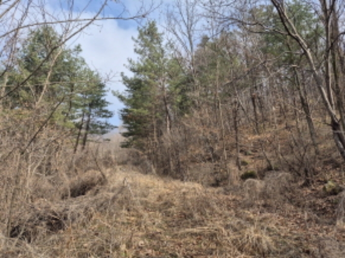 목록1,7,9,13 전경 (5)