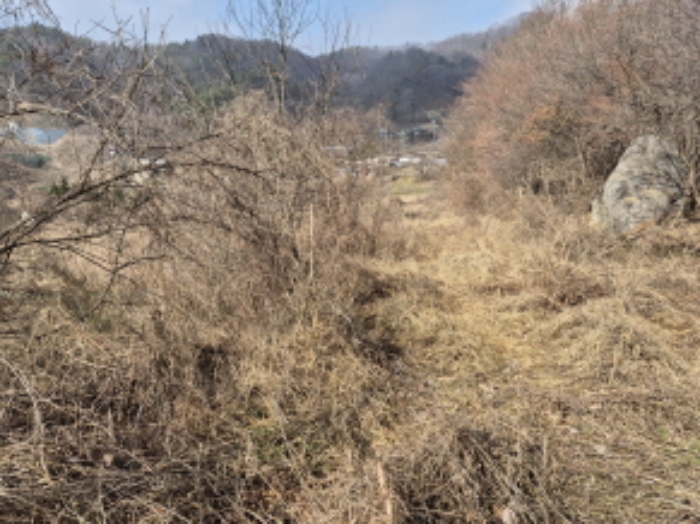 목록1,7,9,13 전경 (6)