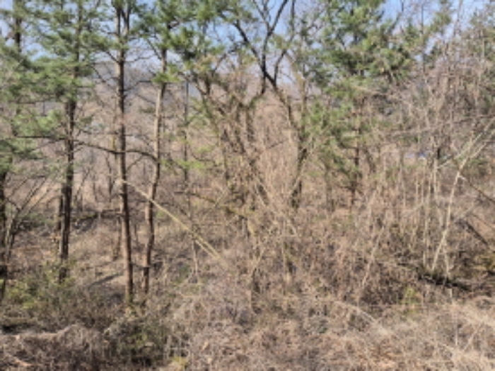 목록1,7,9,13 전경 (1)