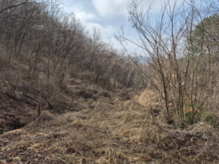 목록1,7,9,13 전경 (2)