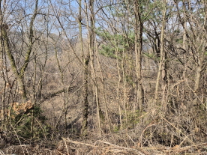 목록1,7,9,13 전경 (3)