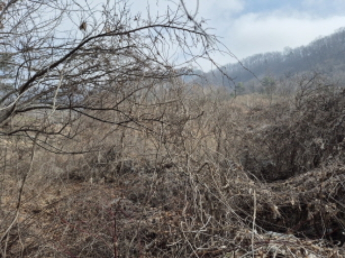 목록3,16,20,21 전경 (9)