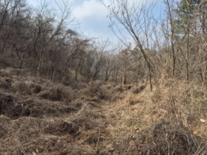 목록1,7,9,13 전경 (4)