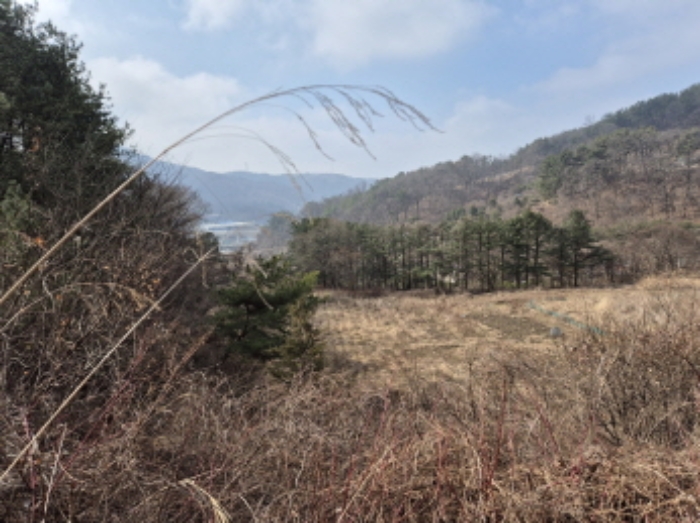 목록7,9,13 전경 (2)