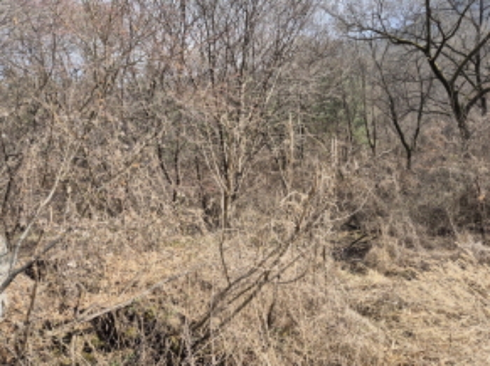 목록7,9,13 전경 (3)