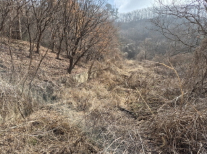 목록7,9,13 전경 (5)