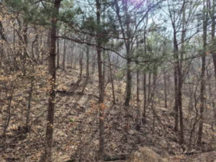 목록3,4,17 전경 (1)