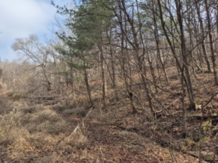 목록3,4,17 전경 (2)