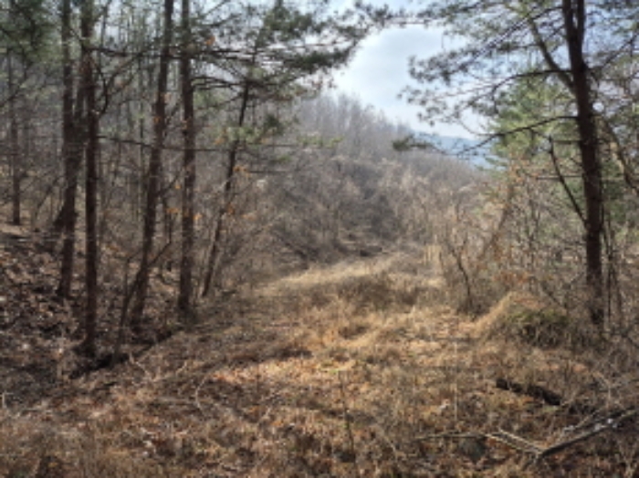 목록3,4,17 전경 (3)