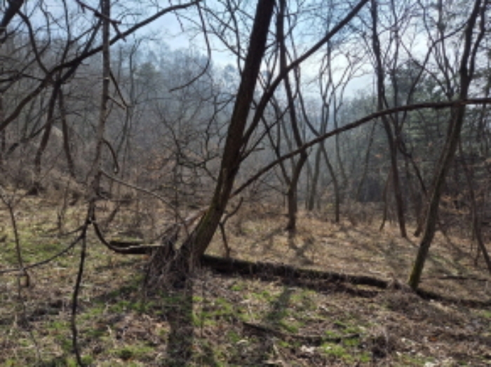 목록15,16 전경 (3)