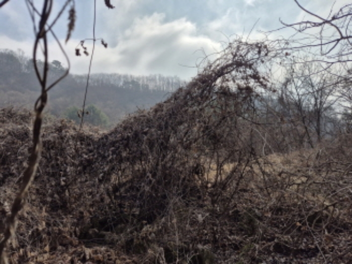 목록3,16,20,21 전경 (10)