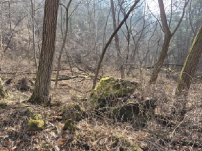 목록15,16 전경 (4)