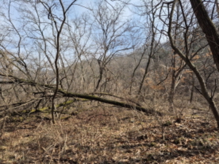 목록15,16 전경 (5)